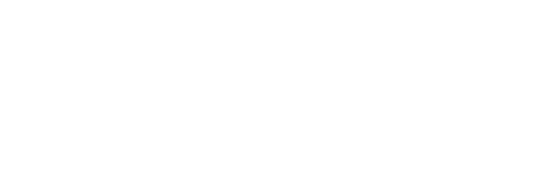 Blossom Digital Marketing